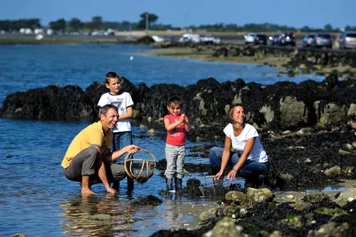 Mensen verzamelen zeeschatten in Île de Noirmoutier aan de Atlantische kust van Frankrijk.