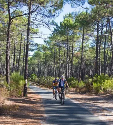 Twee fietsers rijden door een [pijnboombos] dennenbos in de Gironde in Frankrijk.