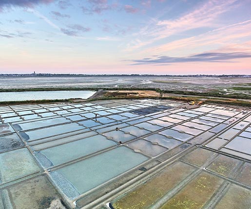 Die Salzgärten am Atlantik in der Nähe des Loiretals