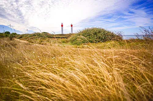 Een fietser fietst door het natuurgebied op île de Ré.