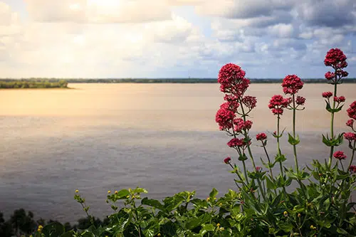 Een fietser fietst door het natuurgebied op île de Ré.