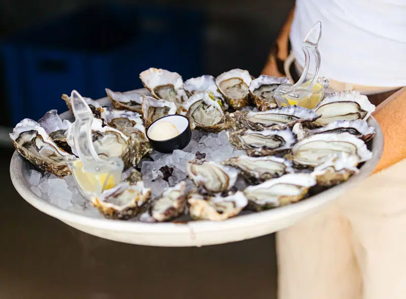 Een bord vol met oesters aan de Atlantische Kust in Frankrijk.