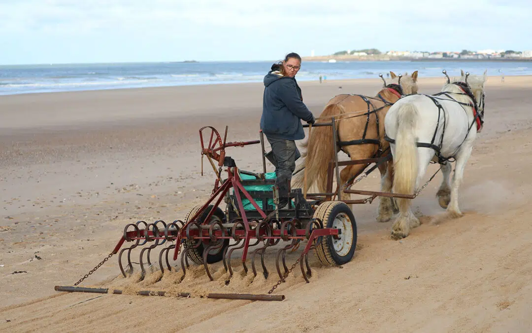 Een man op een paardenwagen maakt het strand schoon aan de Atlantische Kust in Frankrijk.